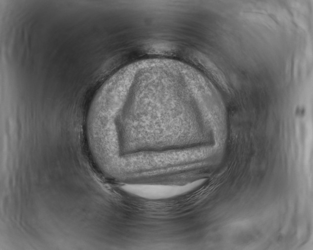 X0000097600265200803211706