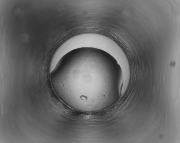 X0000097600268200803211706