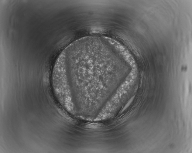 X0000097600269200803211706