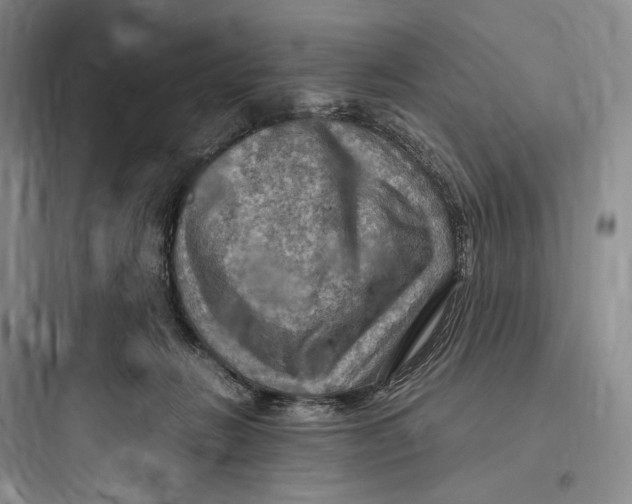 X0000097600270200803211706