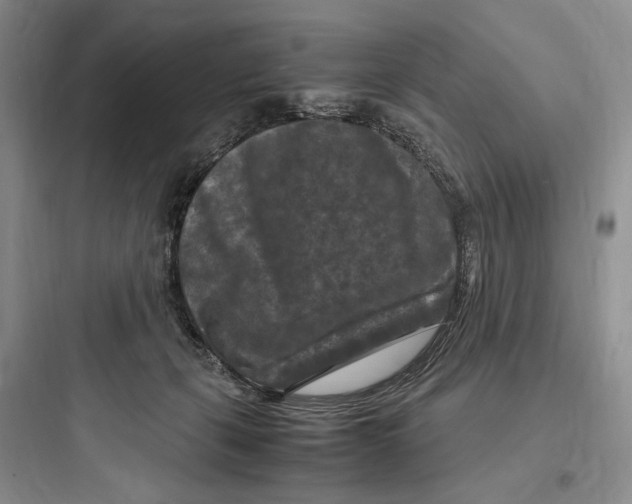 X0000097600271200803211706