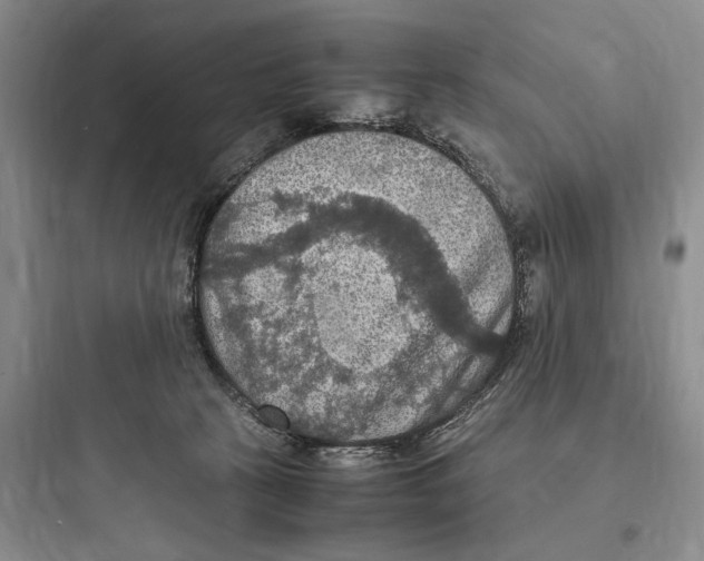 X0000097600273200803211706