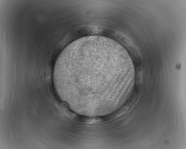 X0000097600274200803211706