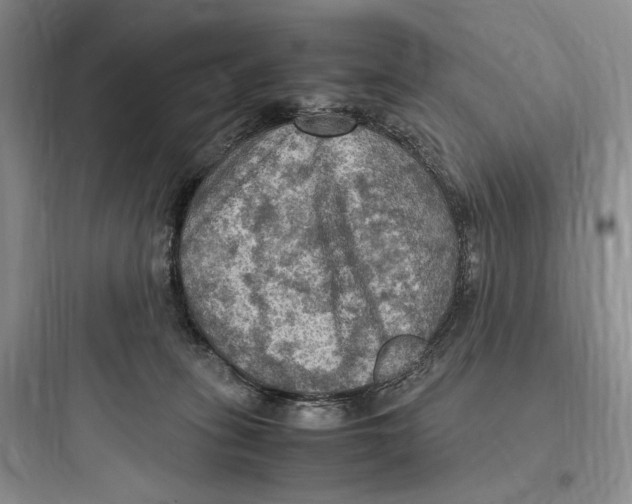 X0000097600275200803211706