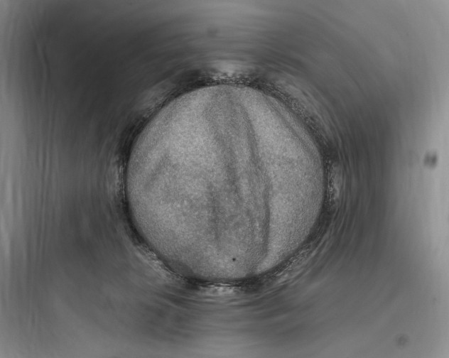 X0000097600276200803211706