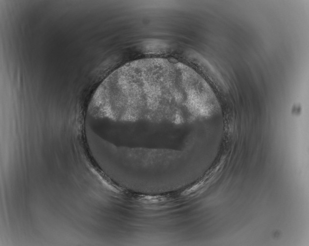 X0000097600277200803211706