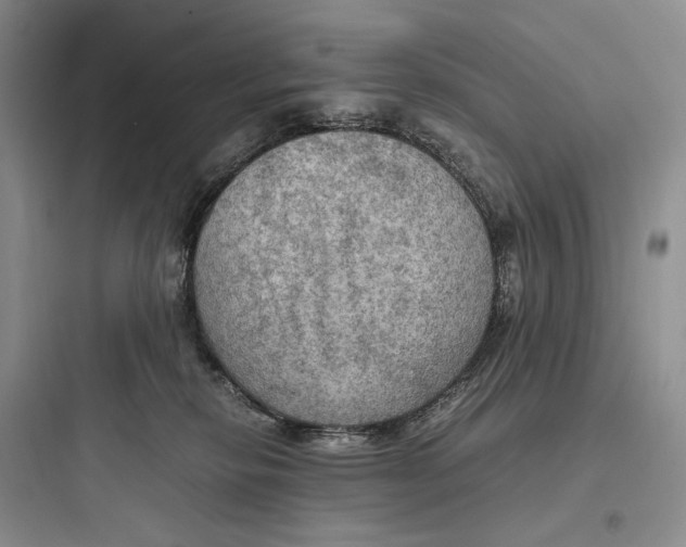 X0000097600278200803211706