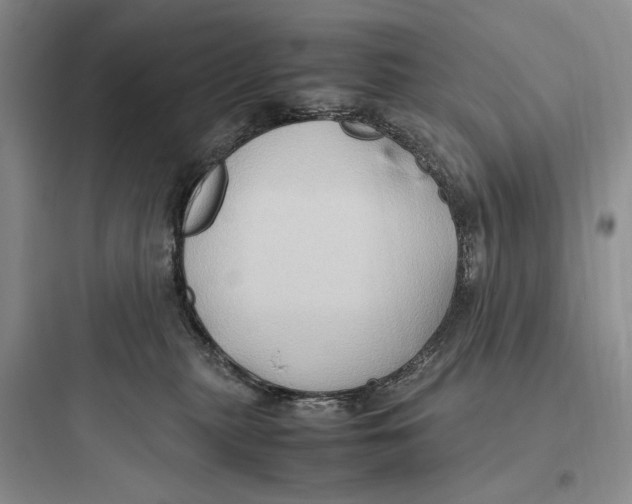 X0000097600279200803211706