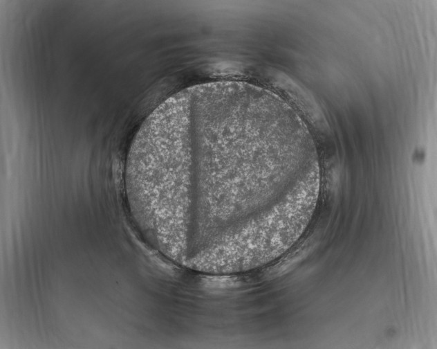 X0000097600281200803211706