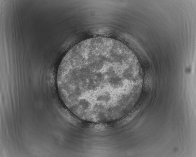 X0000097600282200803211706