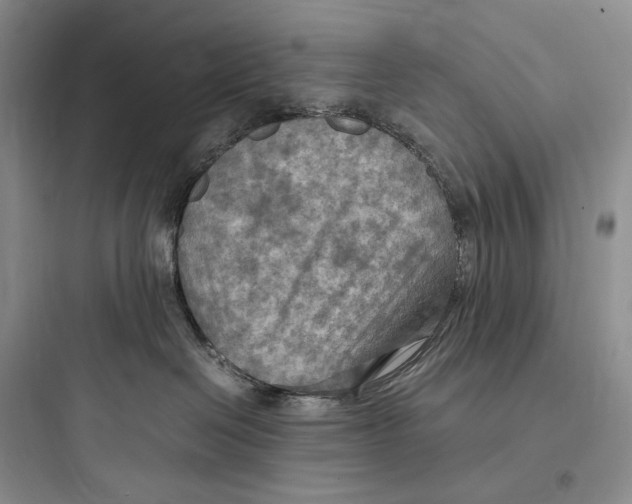 X0000097600286200803211707