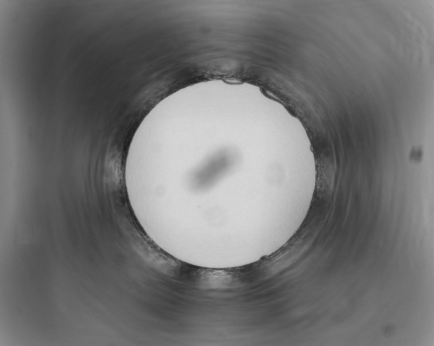 X0000097600287200803211707