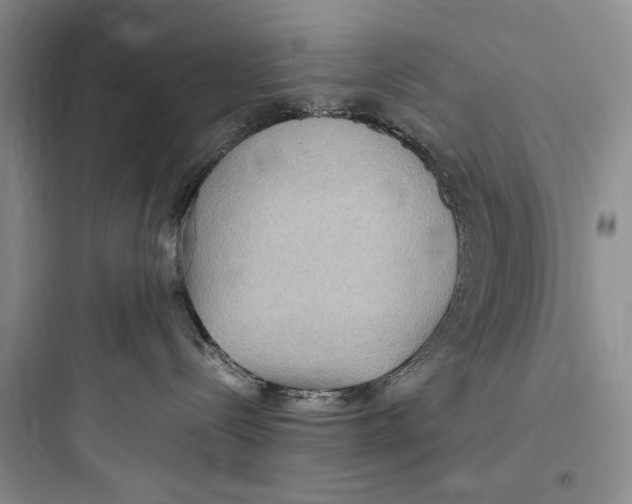 X0000097600288200803211707