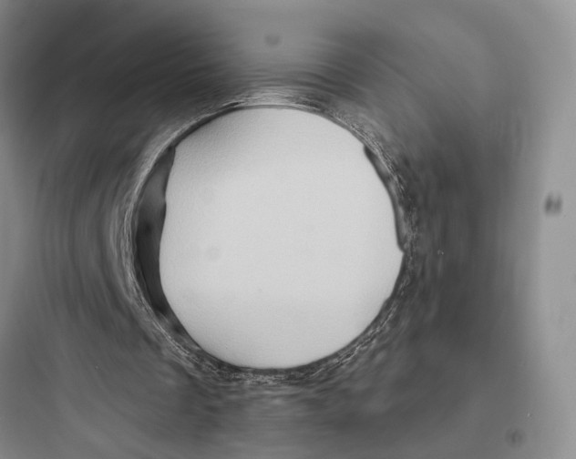 X0000097600289200803211706