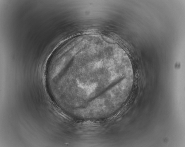 X0000097600290200803211706