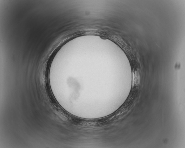 X0000097600291200803211706