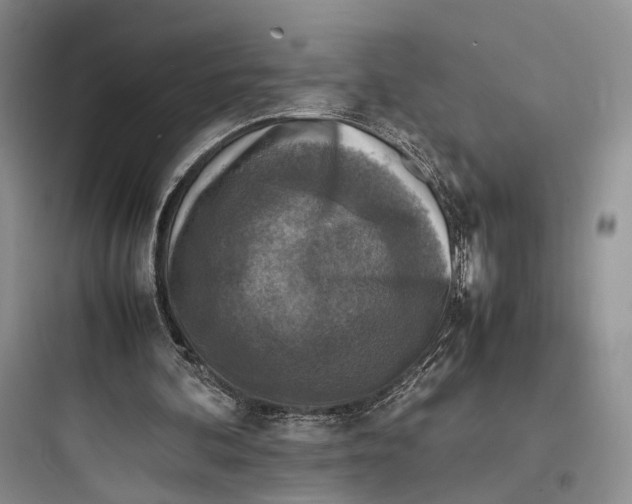 X0000097600292200803211706