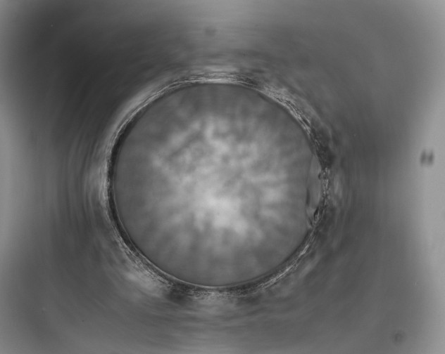 X0000097600293200803211706