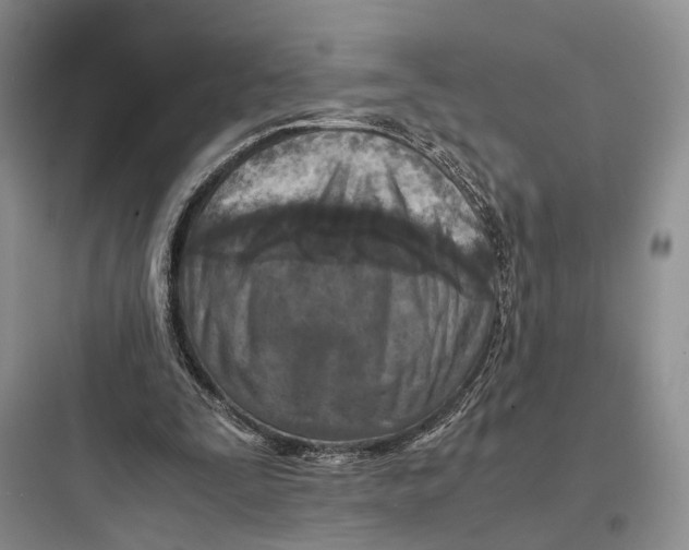 X0000097600295200803211706