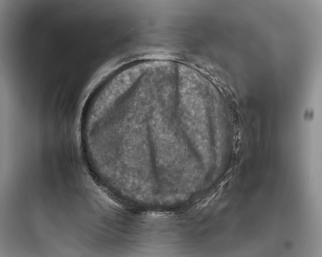 X0000097600296200803211706