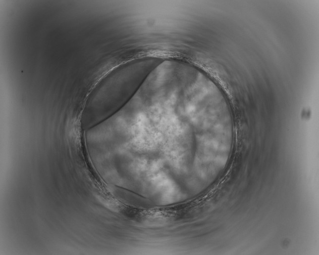 X0000097600297200803211706