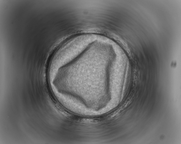 X0000097600298200803211706