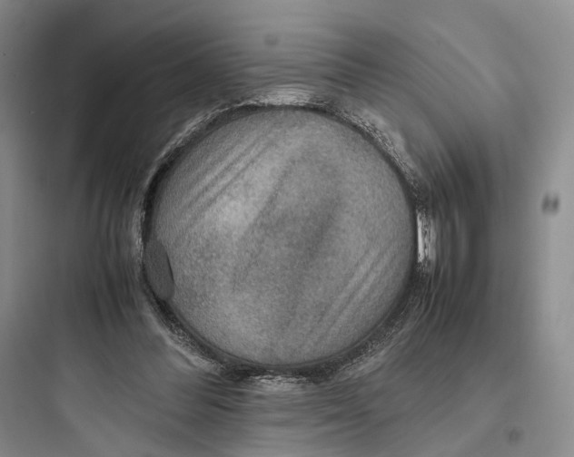 X0000097600300200803211706