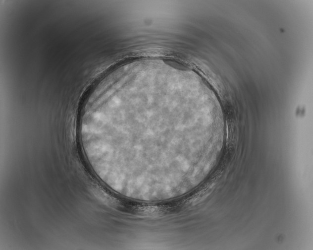 X0000097600301200803211706