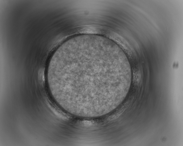 X0000097600302200803211706