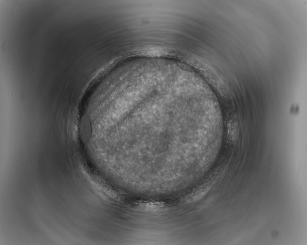 X0000097600304200803211705