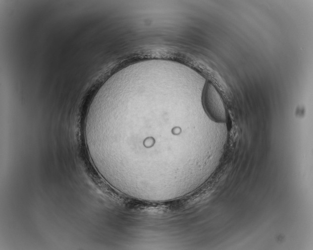 X0000097600306200803211705