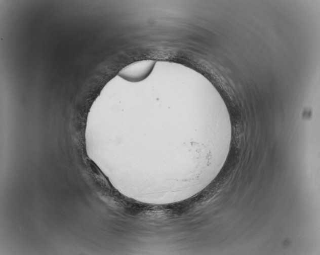 X0000097600307200803211705