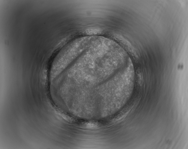 X0000097600308200803211705