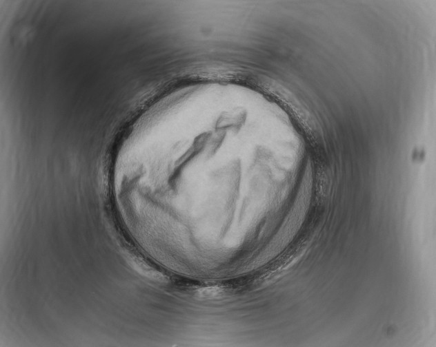 X0000097600309200803211705