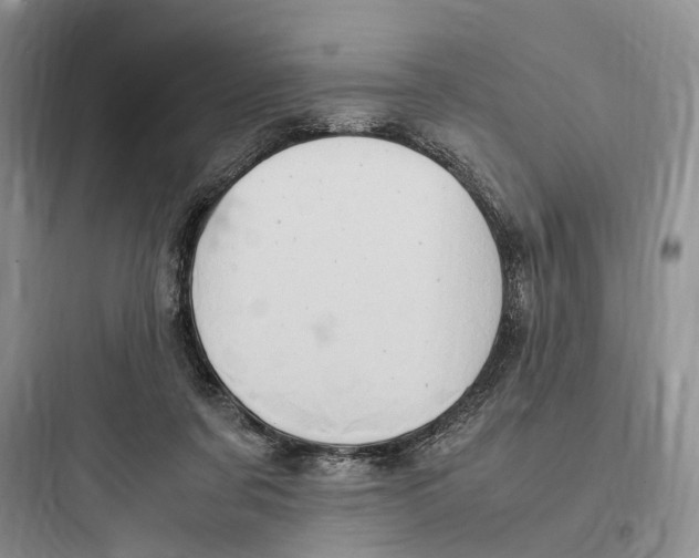 X0000097600311200803211705