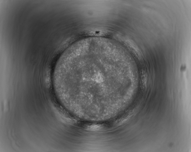 X0000097600312200803211705