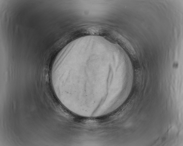 X0000097600313200803211705