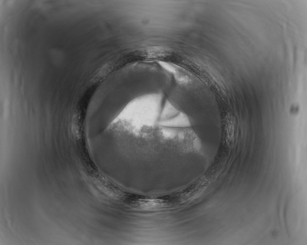 X0000097600316200803211705