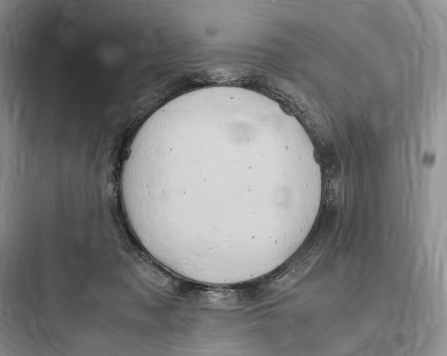 X0000097600317200803211705