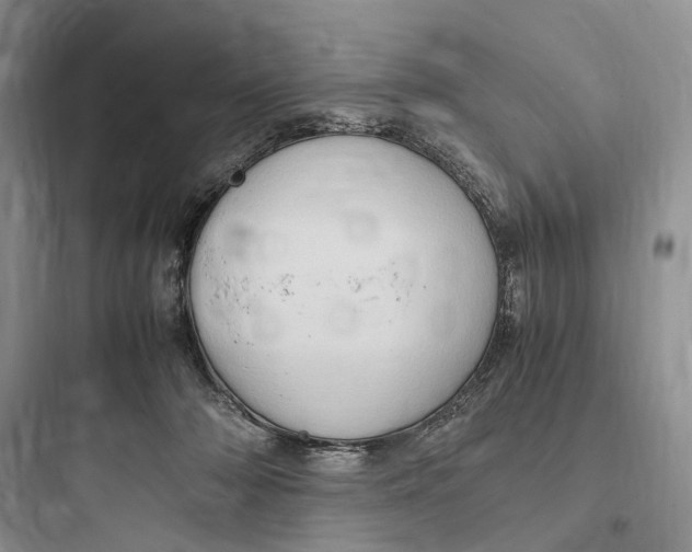 X0000097600318200803211705