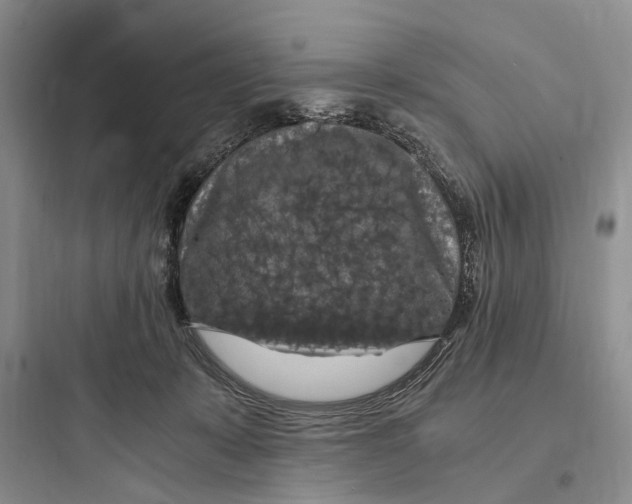 X0000097600319200803211705