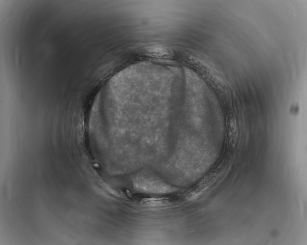 X0000097600320200803211705
