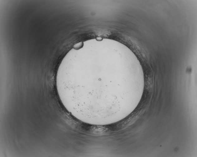 X0000097600321200803211705