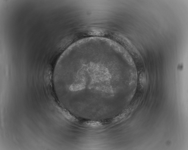 X0000097600322200803211705