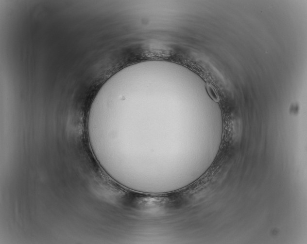 X0000097600323200803211705