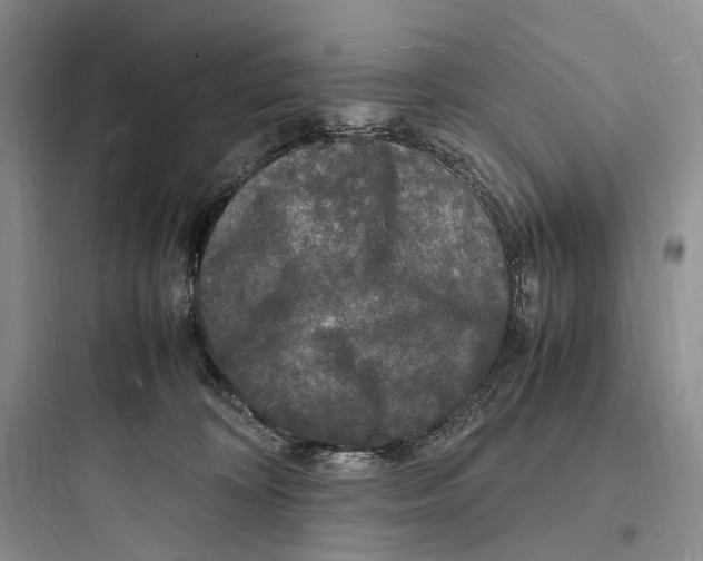 X0000097600324200803211705