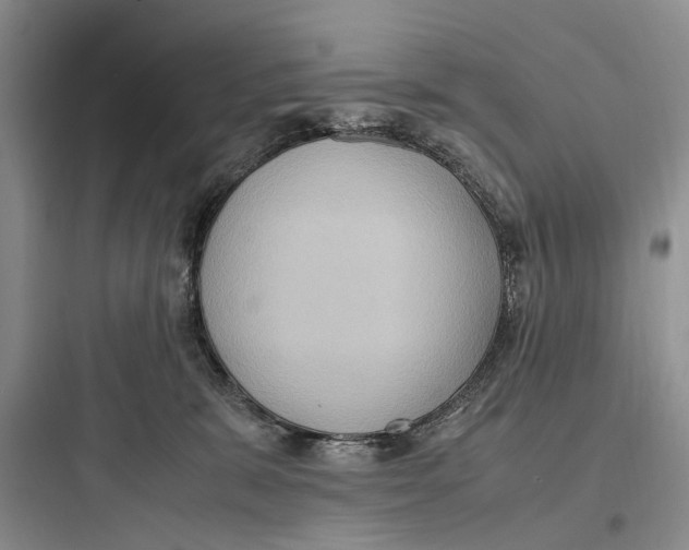 X0000097600327200803211705