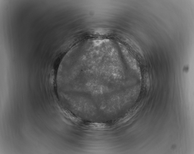 X0000097600328200803211705