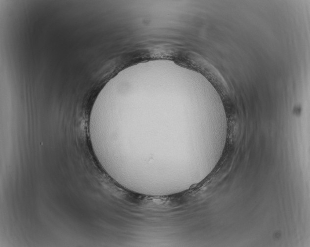 X0000097600329200803211705