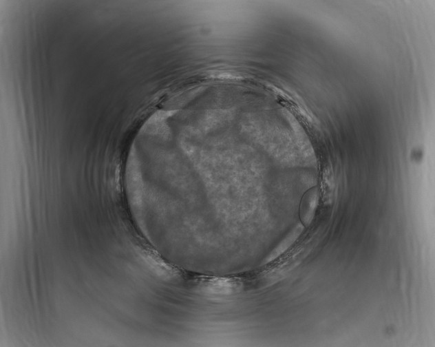 X0000097600330200803211705